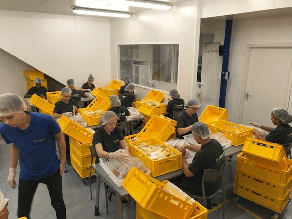 De kunst van het verpakken van goederen ontrafeld met flexwerf.nl